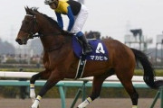 マカヒキさんが今から種牡馬になる方法