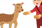 奈良「タダでシカ触り放題です」←これ
