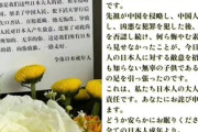 【中国男児事件】献花に悪質編集「全ての日本人を代表すると自称する反日謝罪文」亡くなってもなお、男児を侮辱する国民性