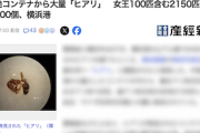 【！？】中国発コンテナから大量「ヒアリ（強毒）」…女王100匹含む2150匹と卵など500個　横浜港