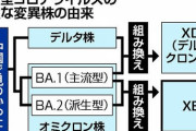 ベータとデルタが融合した新型コロナ変異株を発見、名前はまだない?