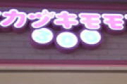 300円均一「ミカヅキモモコ（三日月百子）」の運営会社が自己破産へ　ファンに衝撃