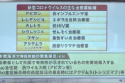 【ノーベル賞】本庶佑「外出自粛でも感染はゼロにはならない アビガン使うべき 死なない状況作れば自粛なんてすぐにでもやめていい」