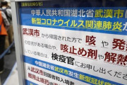 【不安】殺人ウイルスの水際対策に心配の声、米国→乗客全員別室で検査、日本→質問票で自己申告確認『具合の悪い人は手を挙げてー』 ｼｰﾝ 『ﾊｰｲ 通ってよーし』