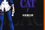 「BLACK CAT」とかいうジャンプ史上最も過小評価されてる漫画ｗｗｗ