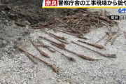 用途不明のライフルや刀剣か？警察署分庁舎の改築工事で数十本発見…奈良県御所市！