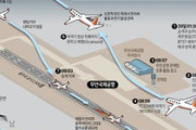 【韓国】旅客機事故「バードストライクを確認」、エンジンから羽毛