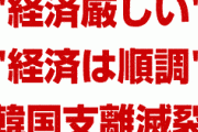 韓国副首相「経済は厳しい」　韓国文在寅「経済は順調だ」　ちぐはぐにも程があるだろ…