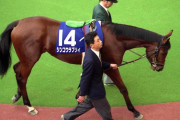 ラジオNIKKEI賞（旧 ラジオたんぱ賞）勝ち馬で2番目の大物って何よ？
