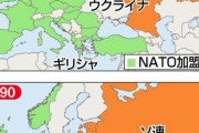 【画像】これウクライナがNATOに加盟しないって言えばロシアは撤退するだろ