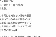 【画像】元AKB岡田奈々ちゃん作詞の曲、色々とやばくて炎上ｗｗｗ
