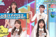 【日向坂46】若林さんに捕まるキャプテンwwww