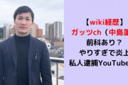 【朗報】私人逮捕系Youtuber・ガッツch、再逮捕されるｗｗｗｗ