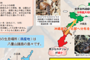 大量のカタツムリを食べる「ヤエヤママドボタル」　薬剤を使わずに防除する試験　沖縄県今帰仁村