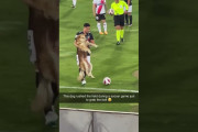 【悲報】イッヌ、サッカーの試合中に現れ退場www【動画あり】