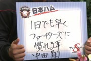 【急募】日ハム中田の移籍先【出場停止】