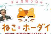 【悲報】月380円で猫を借りられるサブスク「ねこホーダイ」、炎上