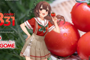 【艦これ】野菜だけで生活すれば痩せますか