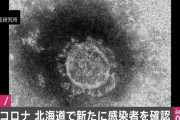 北海道で2例目の新型コロナウイルス感染者を確認