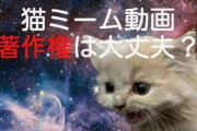 【VTuber】猫ミームが著作権侵害に当たるかどうか問題