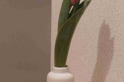 家にお花飾ってる方〜