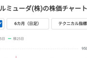 バルミューダ「1000万円の黒字の予定です」→現実「15億円の赤字です」