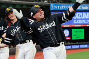 山川穂高 .253 12本 44打点 出塁率.326 長打率.538 OPS.864