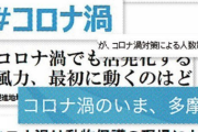 【禍】「コロナ渦（うず）」ではありません　「禍」の間違い多発