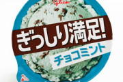 ぎっしり満足チョコミントとかいうチョコミント界最強のアイス