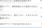 【朗報】YouTube民「TikTok民は本当に民度が低い、ウザい馬鹿の集まり」
