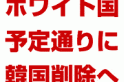 日本政府「ホワイト国除外の延期要請？事実無根だ。予定通り実施する」　韓国終わったな…