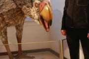 【画像あり】絶滅したこの鳥、ガチで強そうｗｗｗｗｗｗｗｗｗｗｗ