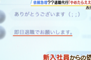 Z世代「この会社思ってたのと違うから退職代行サービスや！」←これ