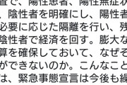 小沢一郎「国民一斉検査で、陽性患者、陽性無症状者、陰性者を明確にする。なぜそれができないのか」   1/5
