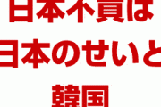 韓国「日本不買のせいで航空業界が730億円の損失を出した！日本のせいだ！」　　ちょっと意味が分からない…