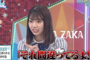 【日向坂46】浮気したら会話にならないくらいキレそうなメンバー
