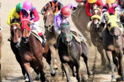 【急募】競馬を辞める方法を教えてクレメンスｗｗｗｗｗｗｗｗｗｗｗｗｗｗｗｗ