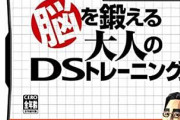 『ニンテンドーDS』でこういうゲームを買ってた奴らの正体