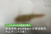 【異物混入】東海漬物『こくうまキムチ』にキリギリス混入で謝罪、自主回収