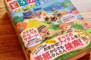 ゲームの攻略本が再び人気に、背景には役に立たない企業wikiの乱立