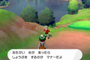ポケモン「目があっただけで強制的に勝負を仕掛けられて負けると全財産を半分持っていかれます」←これってすごい世界観だよな…