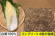 新素材「食べられるコンクリ」の研究進む