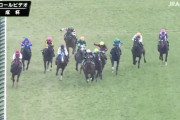 【京成杯】ルメールのために直線インコースを開けたデムーロの騎乗について