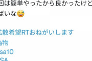 【悲報】ポケカ転売ヤーさん、ガチで偽物だらけで”引くも地獄、進むも地獄”の状態に