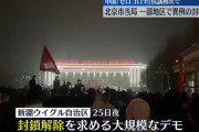 【悲報】中国の暴動、今回は流石にヤバそう　全土で極めて異例の大規模抗議デモ　「習近平退陣しろ」