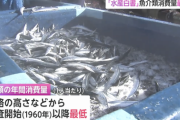 【悲報】日本人、ガチで魚を食べなくなる