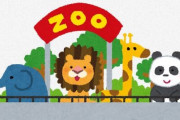 【静岡】動物園からカメを盗んだ外国籍の男を逮捕　20万円相当の希少なカメだという
