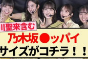 【妄想】乃木坂○ッパイサイズ予想がコチラ！！【乃木坂46・乃木坂工事中・乃木坂スター誕生】