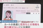 【朗報】政府、新しいマイナンバーカードを検討