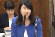 民民・矢田わか子「政府はクルーズ船の感染拡大防止に失敗し国際的非難を浴びてる！」